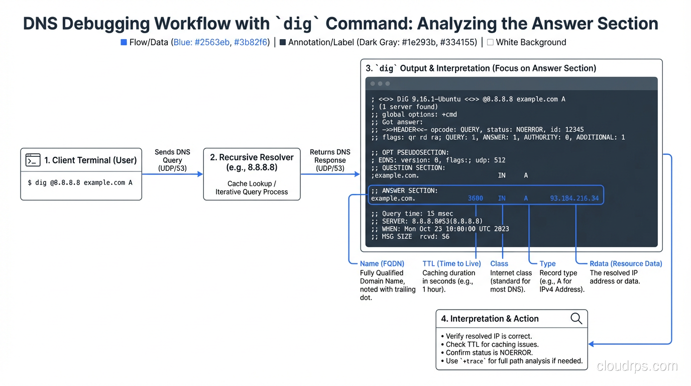 DNS debugging workflow showing dig command output and how to interpret the answer section