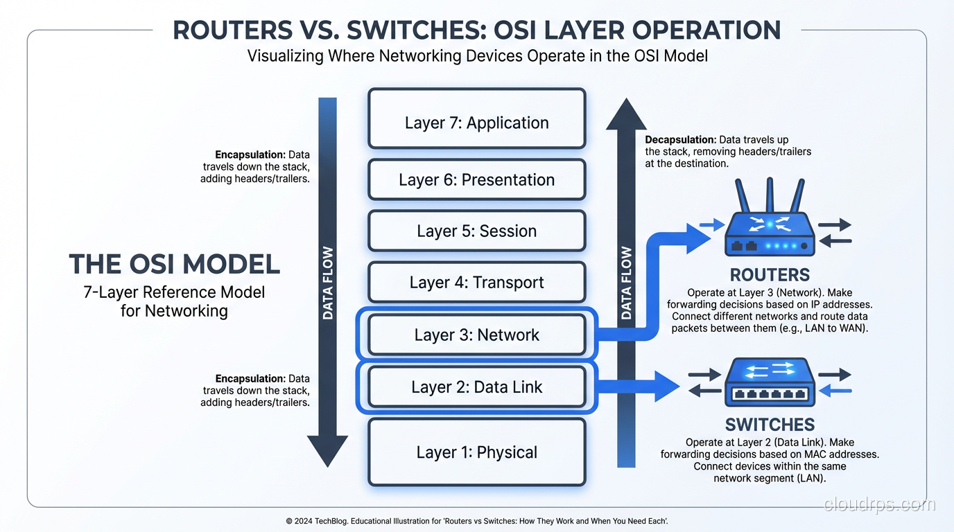 The OSI model highlighting which layers switches and routers operate at