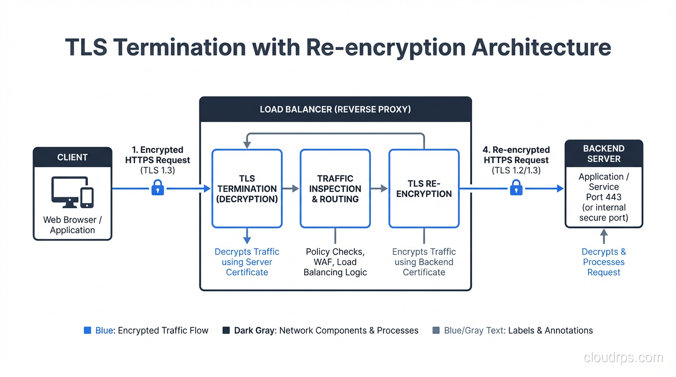 TLS termination architecture showing encryption between client and load balancer, then re-encryption to backend